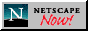 Netscape Now Logo