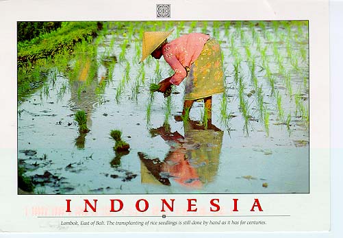 Indonesia